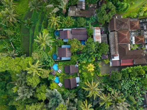 Taro Villa | Ananda Villa Ubud