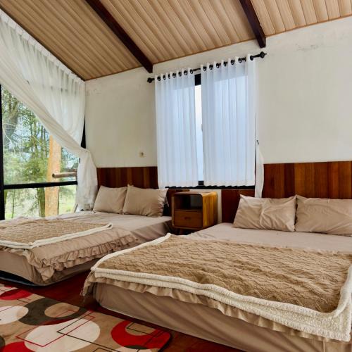 Kejajar Villa | Arutala Nirmala Batu Pandang