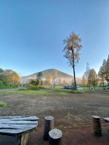 Kajarharjo Hotel | Avrilla Ijen Cool homestay