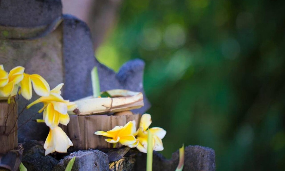 Legian Hotel | Bali Chaya Hotel Legian