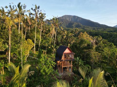 Selemadeg Villa | Bali Jungle Cabin
