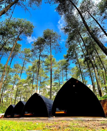 Cikole Other | Be Glamping Lembang