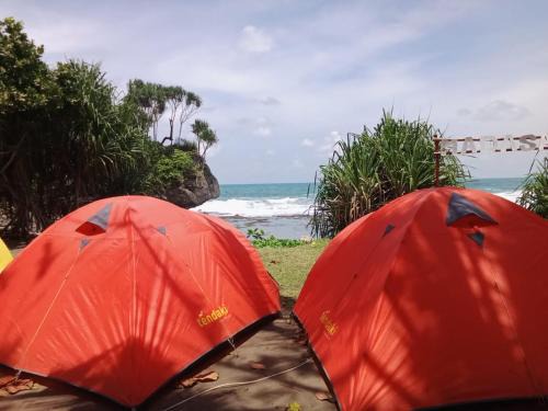 Cimerak Other | Camping Keluarga pantai madasari