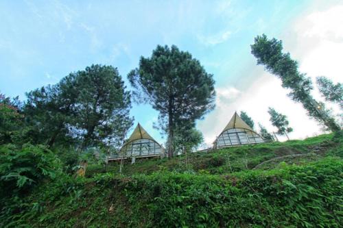 Megamendung Other | Cimon Urban Camp