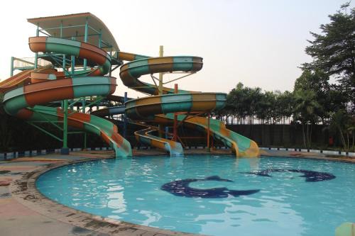 Cilegon Hotel | Greenotel Cilegon