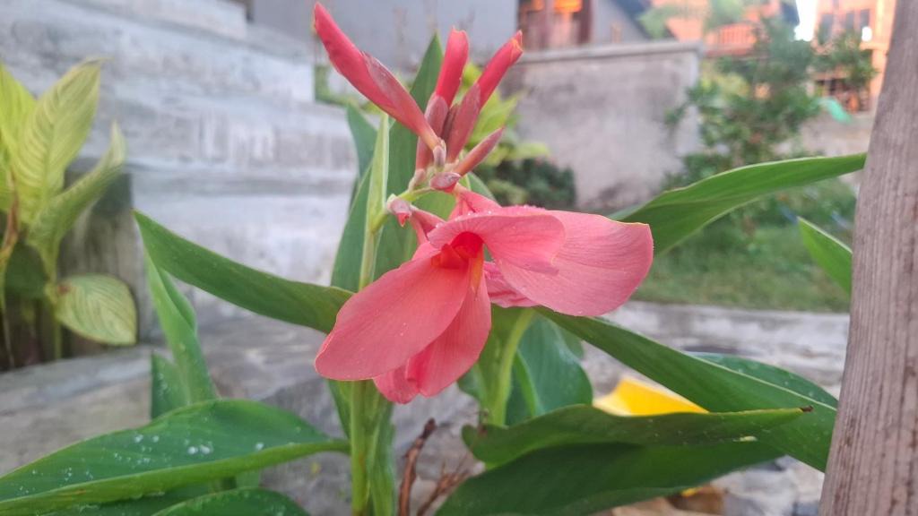 Hu'u Hotel | Inara Homestay