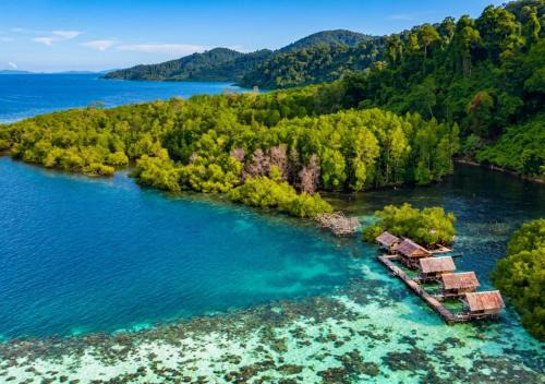 Arborek House | Korbekwan Homestay