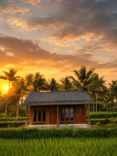 Kecamatan Montong Gading House | Moofa Homestay