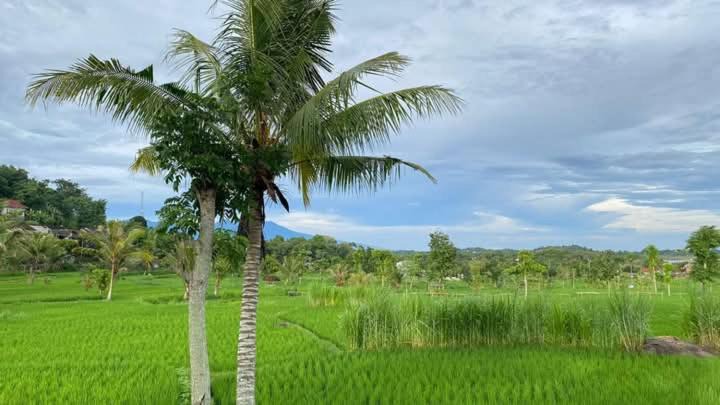 Kecamatan Terara House | Pandan Dure House