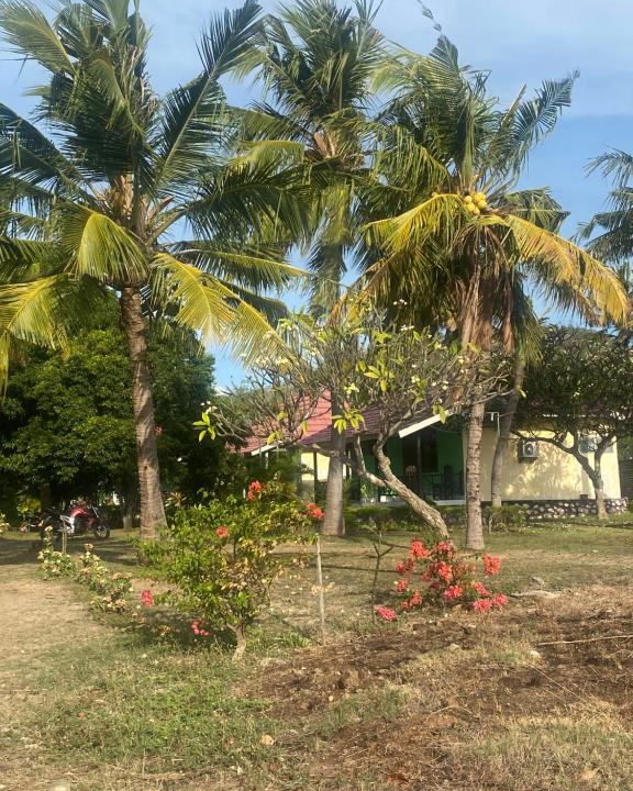 Hu'u House | Puma Bungalows Lakey Peak