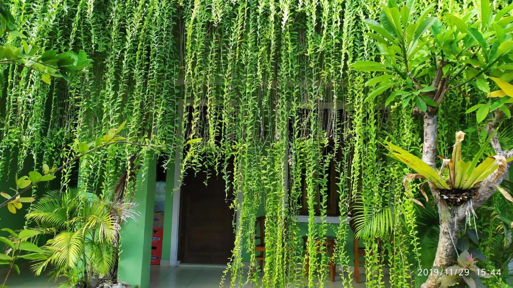 Kuta House | PURNAMA HOUSE KUTA