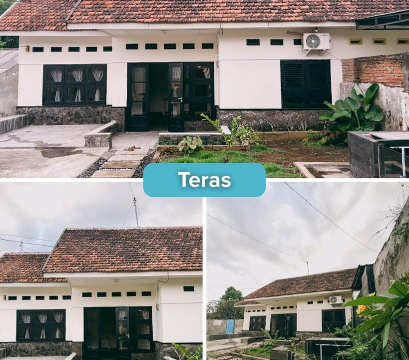 Kalipuro House | Suasana Homestay Banyuwangi
