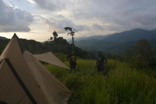 Baru Other | Survival Trip Leuser Eco Stay