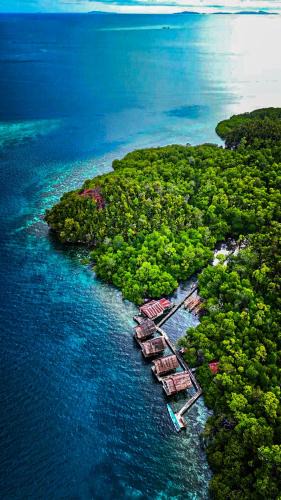 Arborek House | Tapor Pandera Homestay