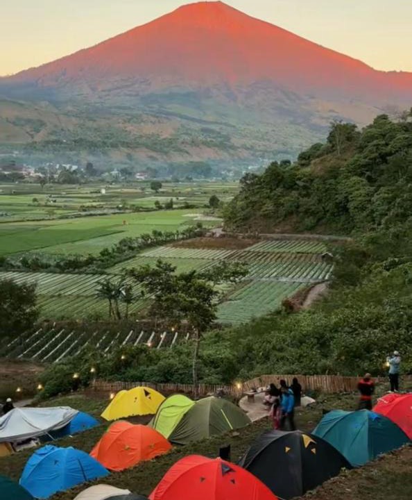 Kecamatan Sembalun Other | Terassada Camp