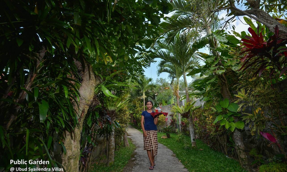 Tegallalang Villa | Ubud Syailendra Villas
