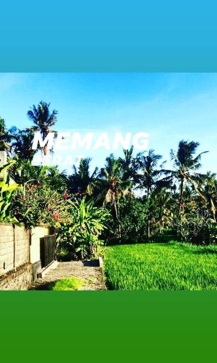 Saba Villa | Uda House Saba Beach 2