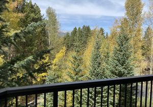 Completely remodeled Peak 9 base +downtown LARGE 2 bed/bath condo in Breckenridge