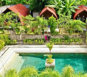 Jungle Paradise 