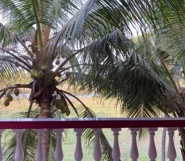 Depok Apartment | 1 bhk cute little flat