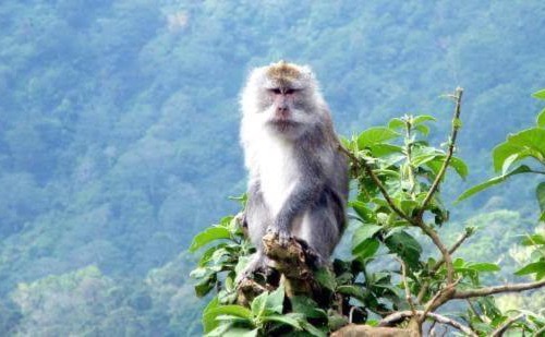 Batu Layar Other | Agrowisata Pologamang