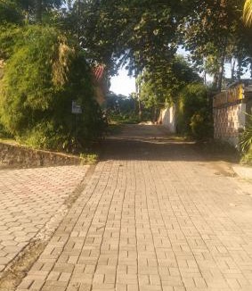 Pancawati House | Aras Mulya Guesthouse