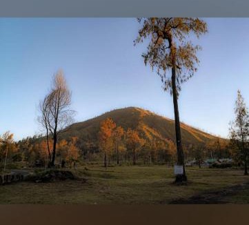 Kajarharjo Hotel | Avrilla Ijen Cool homestay