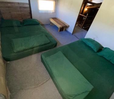Kajarharjo Hotel | Avrilla Ijen Cool homestay
