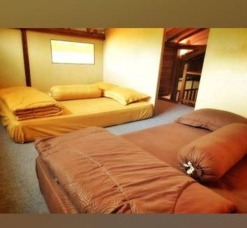 Kajarharjo Hotel | Avrilla Ijen Cool homestay