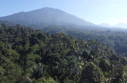 Selemadeg Villa | Bali jungle retreat