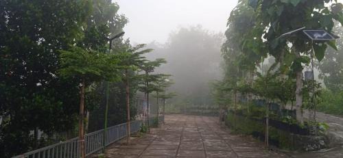 Patuk Other | Bitu Garden