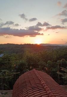 Patuk Other | Bitu Garden