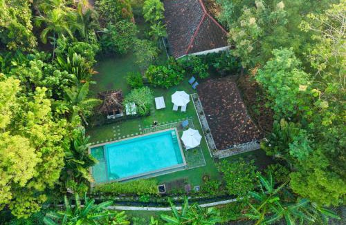 Bangunjiwo House | Blauwtuin Yogyakarta