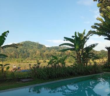 Bangunjiwo House | Blauwtuin Yogyakarta