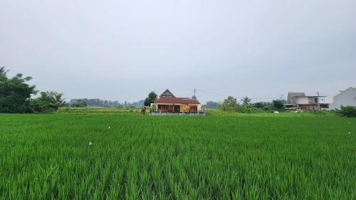 Mekar Bhuwana Villa | Brand New - Amman Villa with Stunning Rice Field View Ubud