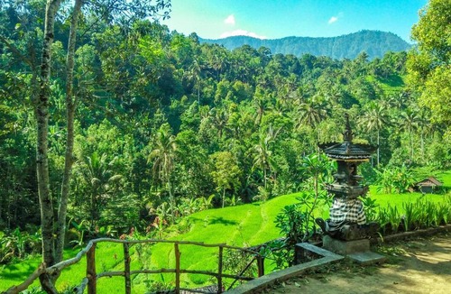 Sawan House | Buda's Homestay Lemukih