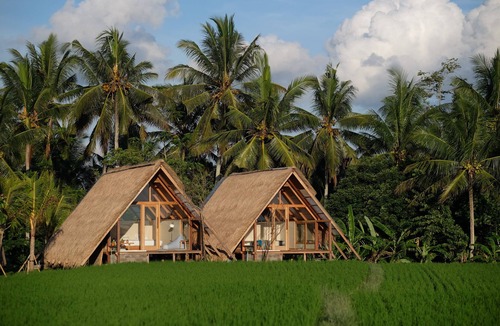 Peliatan Cabin | Designer Bamboo A-Frame Hut Amidst Ubud Rice Fields