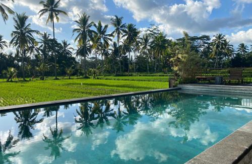 Tegallalang Hotel | Hening suites Ubud