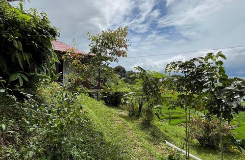 Sumatra Cabin | Ikuatanjuang Cultural Hideaway
