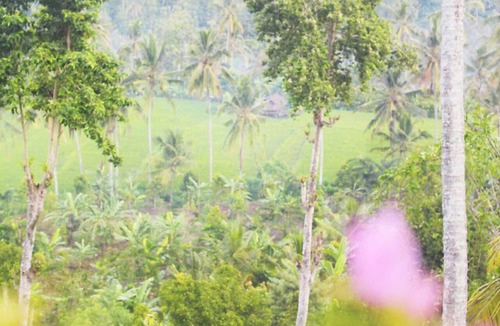Munduk Bed & Breakfast | IPSA Villa