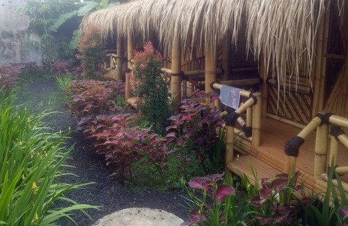 Jawa Timur House | Javana Homestay