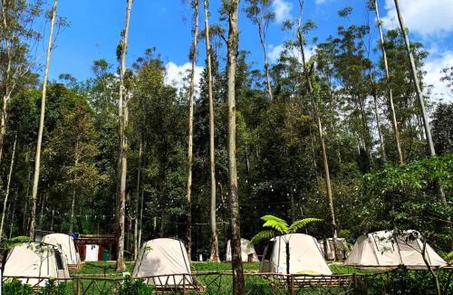 Rancabali Other | Kuleum Camp And Cabin By ARBA