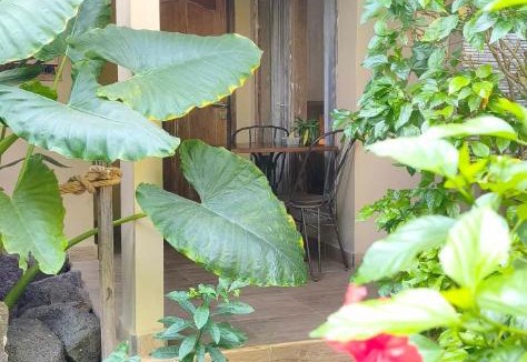Gili Trawangan House | Little Elephant Cottage