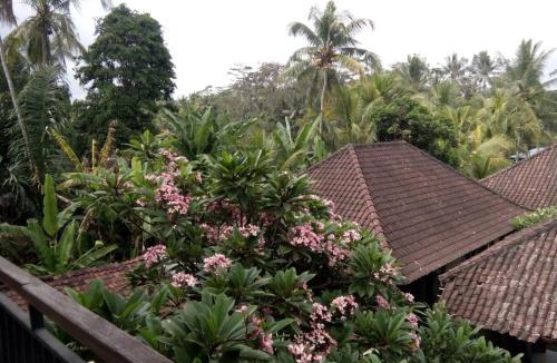 Kedewatan Bed & Breakfast | Manada Guest House
