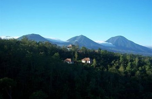 Gobleg Hotel | Munduk Moding Plantation
