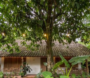 Condongcatur Villa | Omah Joho Guesthouse