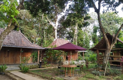 Borobudur House | omah kayu jagalan
