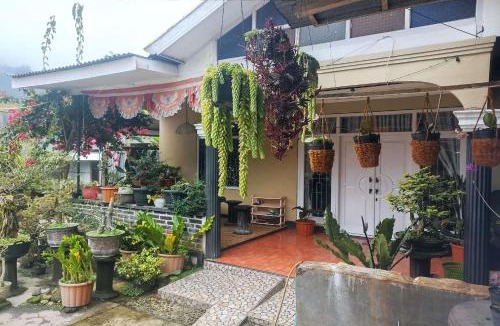 Kejajar Hotel | OYO 94841 Alodia Homestay Family