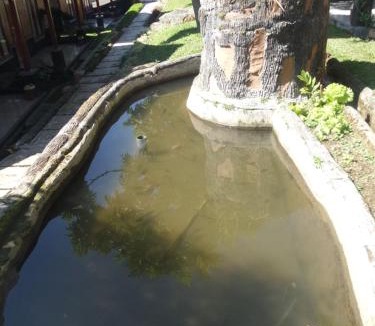Ciwidey Hotel | Pondok Stevia Ciwidey