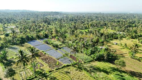 Kecamatan Pringgasela House | Ponjol Cottages Tetebatu